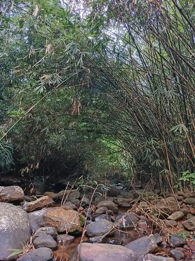 River Wood Resort Vythiri India