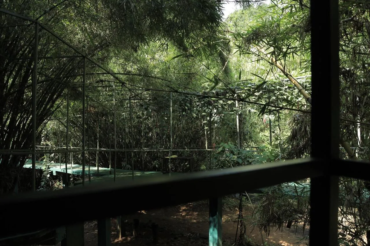 River Wood Resort Vythiri