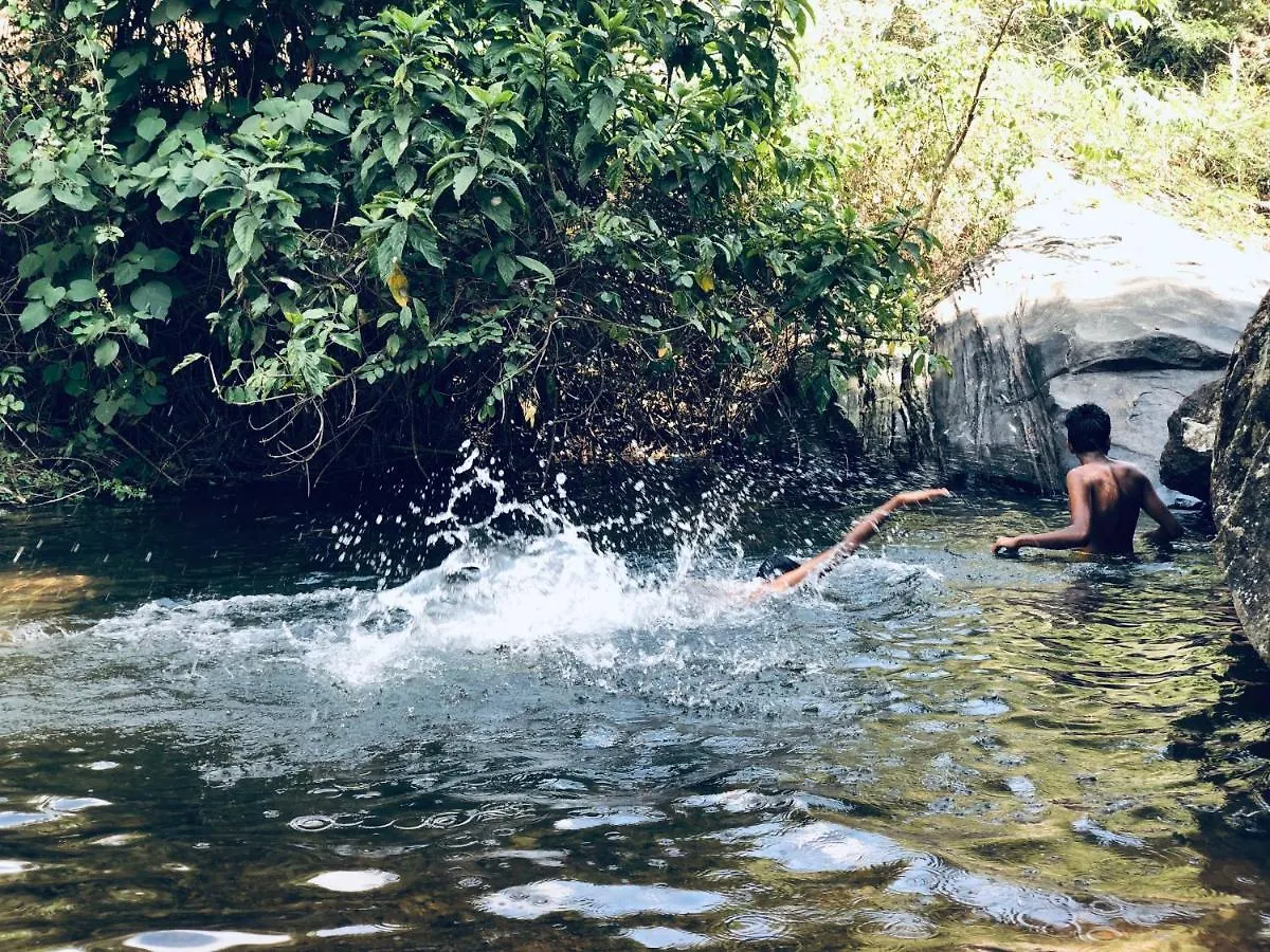 River Wood Resort Vythiri India