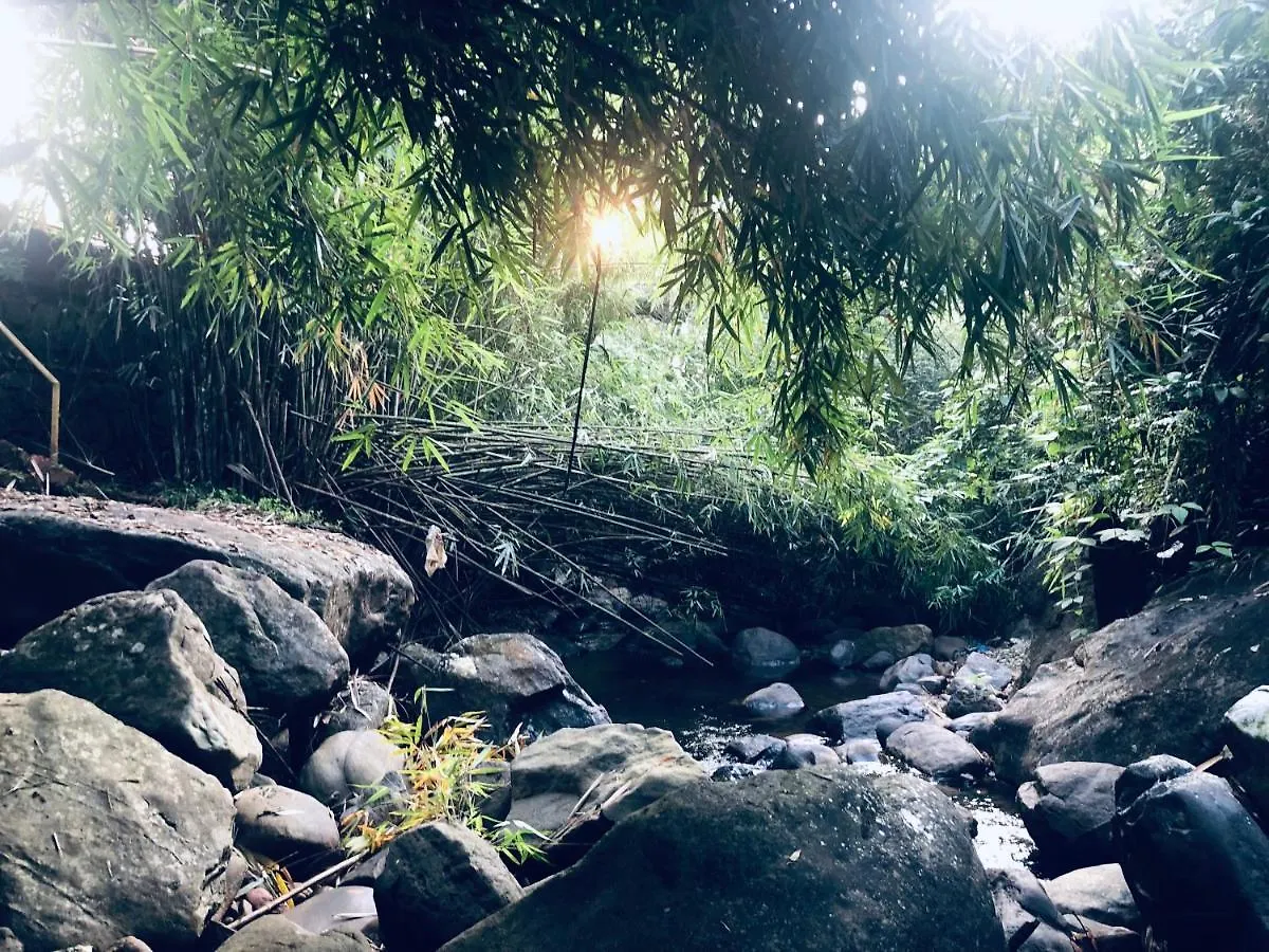 River Wood Resort Vythiri